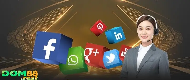 Một số phương thức CSKH tại trang web Dom88